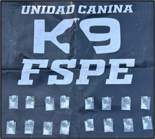 Elementos De La Unidad Canina K De Las Fspe Aseguran En Cortazar Y