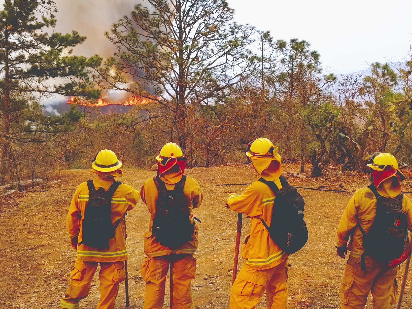 Continúan las operaciones de combate contra el incendio forestal que se ...