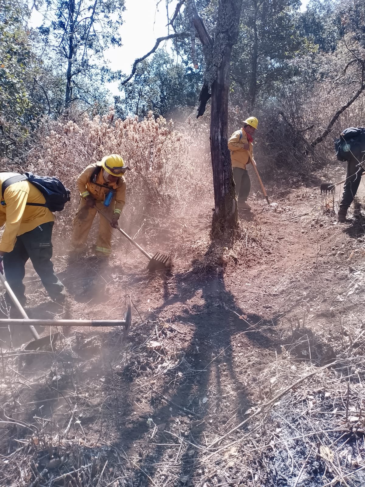 Trabajan en equipo y suman esfuerzos en la atención a incendios ...