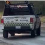 ff293272-0d79-4db1-a687-2abcffdcd49a